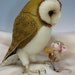 PDF CLASS Needle Felted Animal Dressed Mouse & Bunny Class Needle Felting / Create a Bunny and Mouse (Kit Available and sold separately)