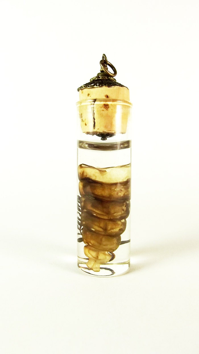 Rattle Pendant