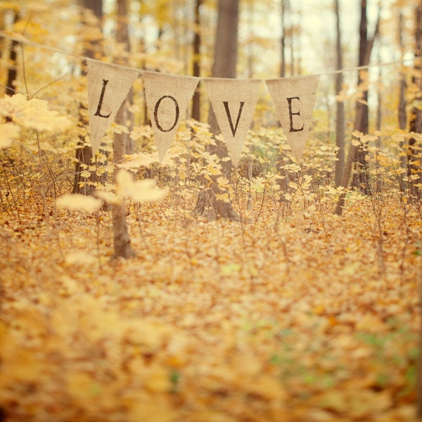 Autumn Photography, Valentine Day, Golden Yellow Leaves, Rustic Woodland, Romantic, Forest, Wedding, Yellow, Honey Gold - All is love
