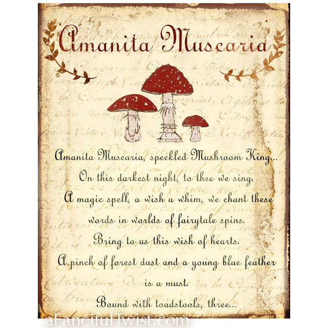 Amanita Muscaria Spell (mushroom) - 8 x 10 Print