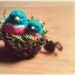 Mini Felted Bluebird Mama and Baby In Nest