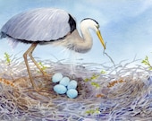 Bird print Mother's Love Great Blue Heron and 5 eggs