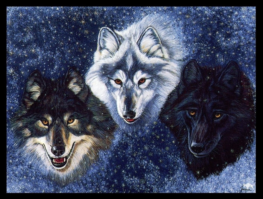 Mature Religion Animal Spirit Guides Wolf Wolves Metaphysical Giclée Printed Art Sew on 4 x 3in Twill Back Patch-es Free S/h MBG