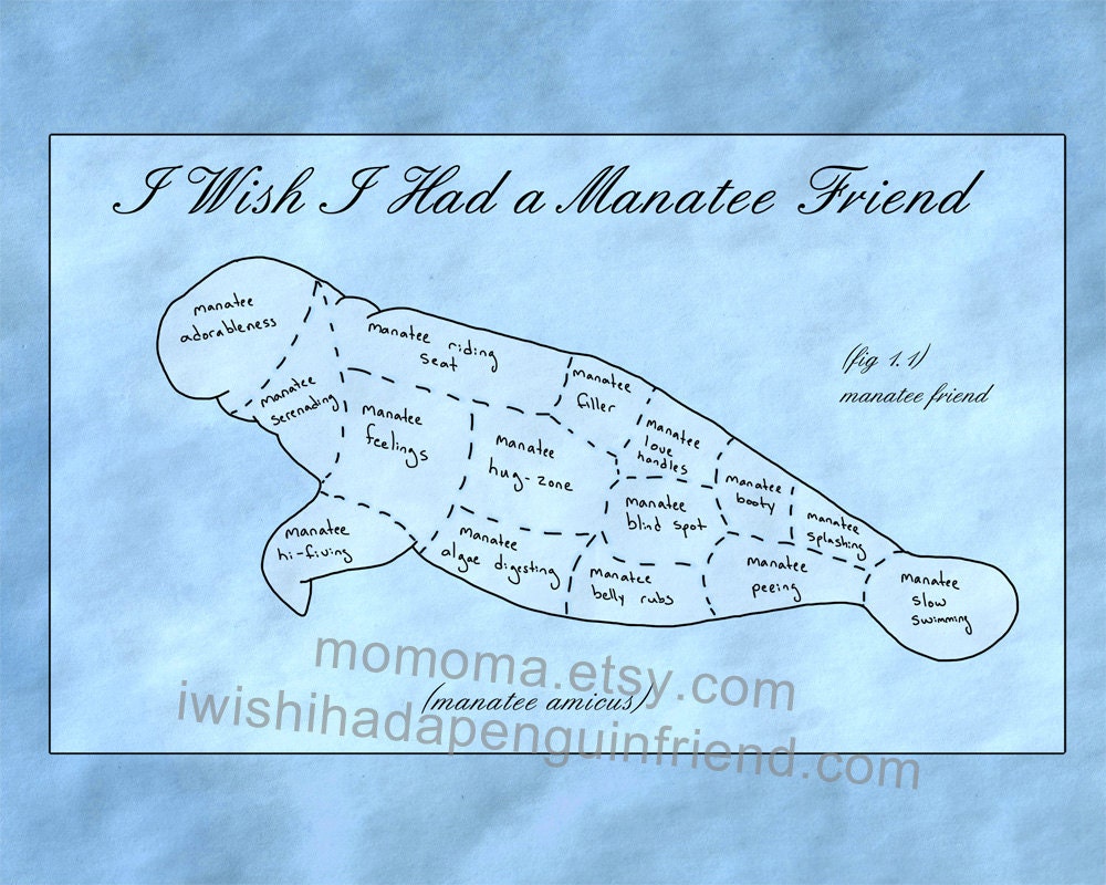 I wish i had a manatee friend small print