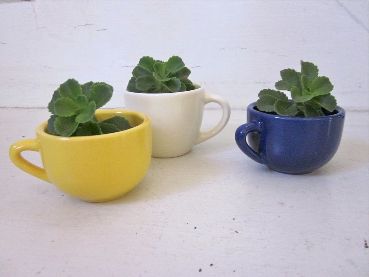 Vintage Modern Espresso Cups - 3 Cobalt, Yellow, White