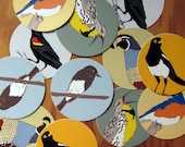 Round Bird Stickers (series 6)--Waterproof Vinyl--Eco Friendly