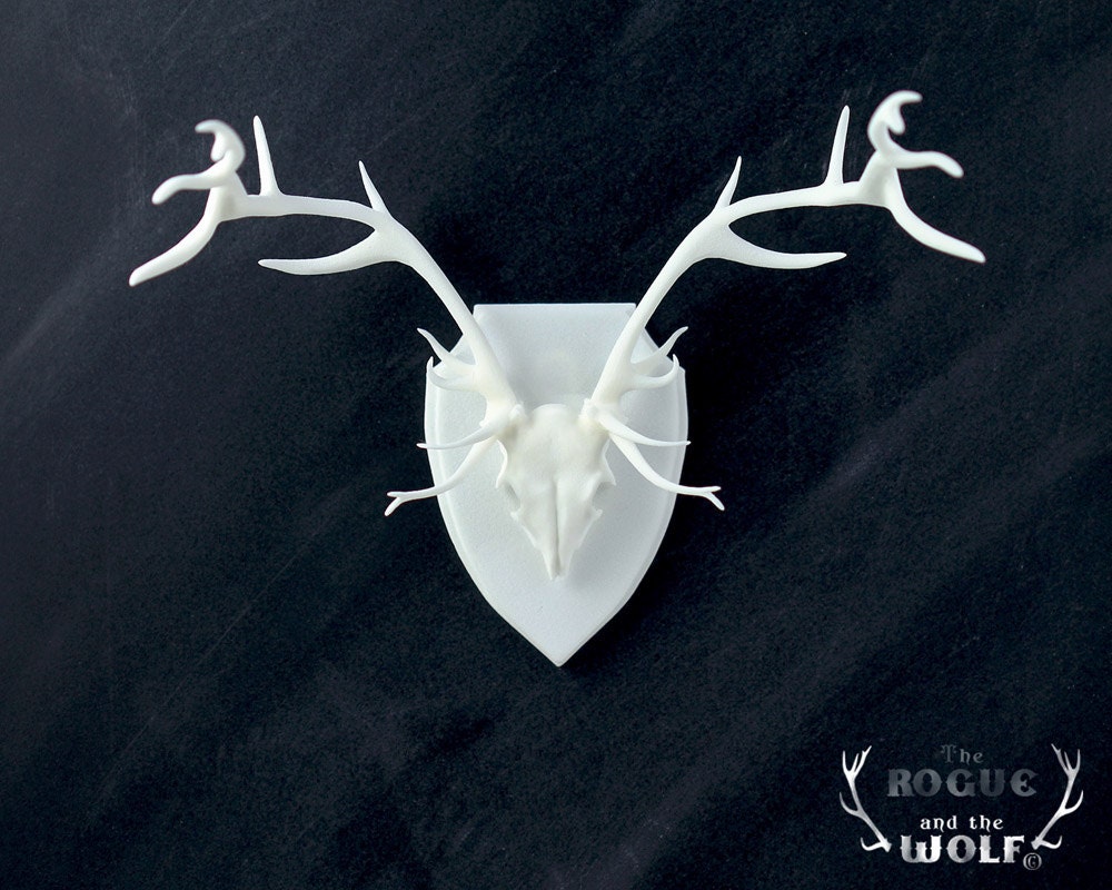 Stag Faux Taxidermy, deer anatomical skull, antlers home decor, mounted deer skull, office decor, vegan, cruelty free, mini taxidermy