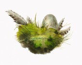 Moss Nest- Archival print, nature art, cottage chic, nature 11 x 14"