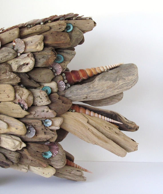Driftwood Sculpture Fish Angelfish Shells