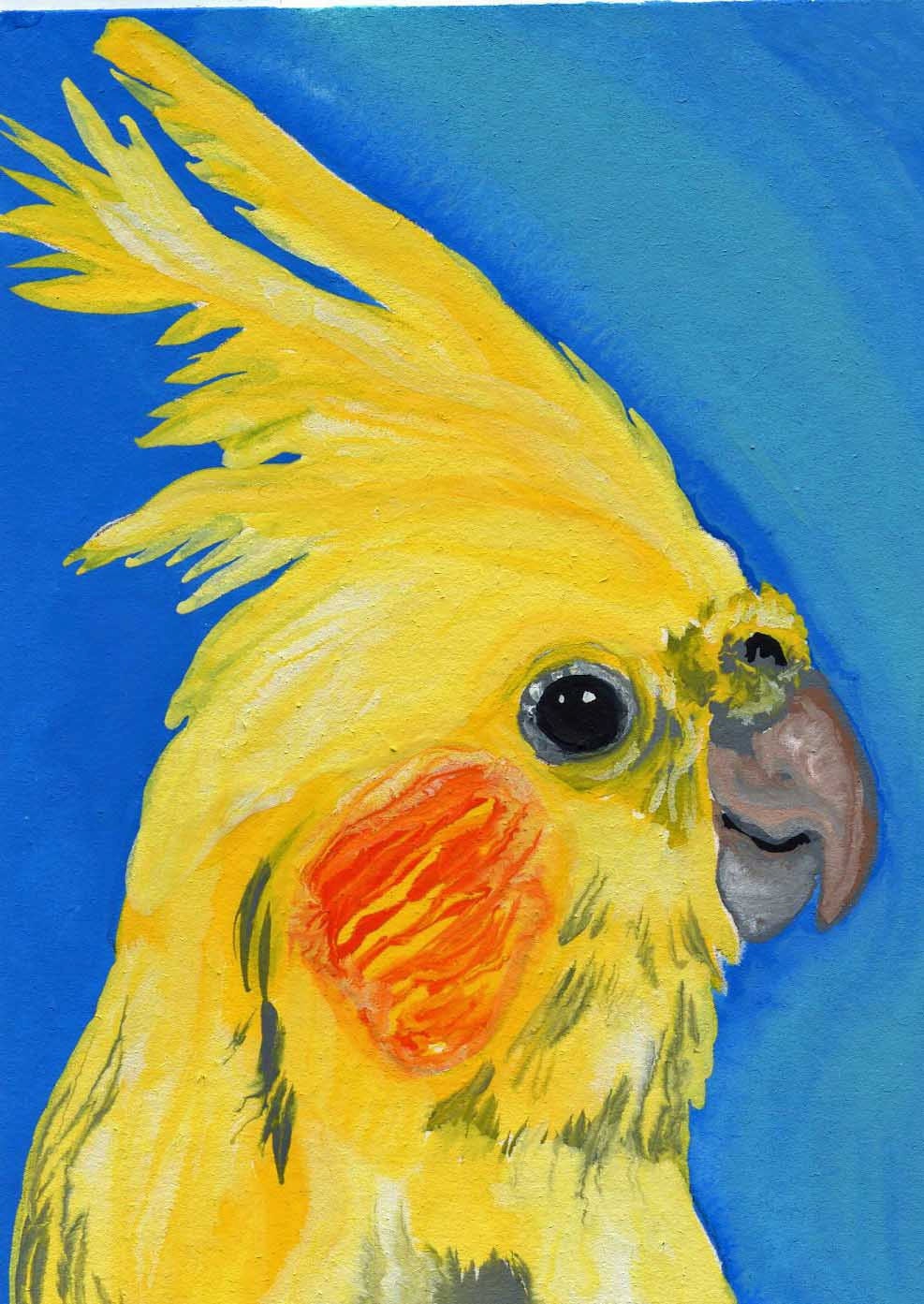 ACEO Cockatiel Bird Pet Original Painting Art-Carla Smale