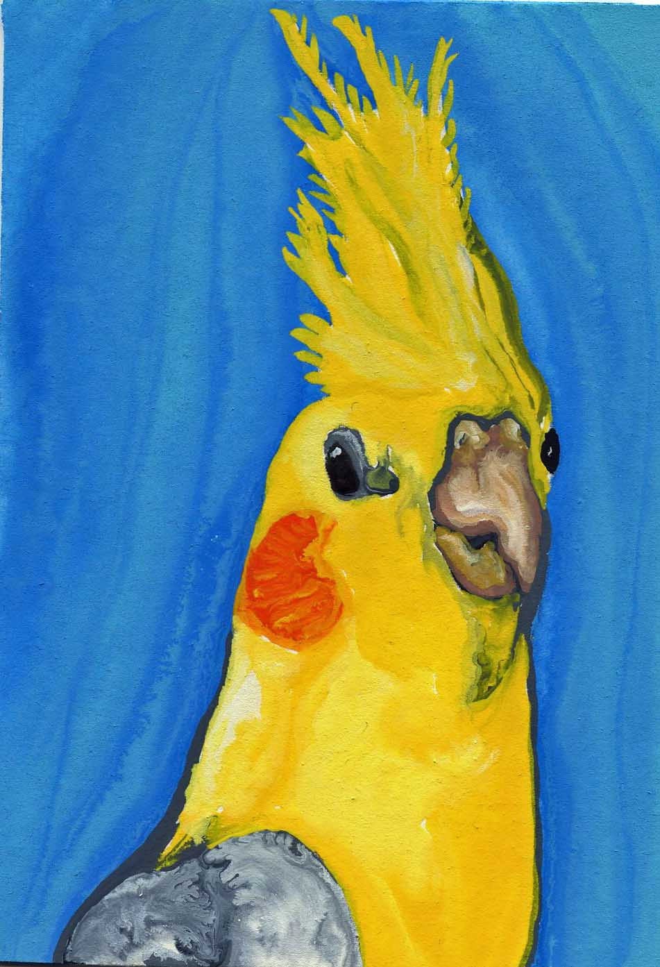 ACEO Cockatiel Bird Pet Original Painting Art-Carla Smale