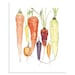 Bulk deal: 3 Illustration Reproductions - Farmer's Market Wall Art