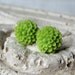 Wasabi Green Flower Earrings, Mini Mums, Chrysanthemums, Lime Green Earrings, Chartreuse