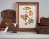 Take time to sit and watch the leaves - Autumn quotation typographic print