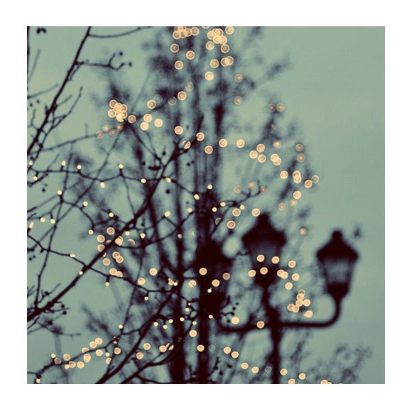 Tree Photograph, Nature Photography, Winter Lights, 5x5 Print, Bare Branches, Magical, Fairy Lights, Teal Blue, Night Sky