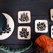 Laser Cut Wood Coaster Set: Succulent Garden