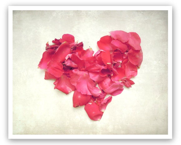 Nature photography - Heart made of fresh red rose petals - red and white wall art - love - flower photography print 8x10 "Fleeting Heart "