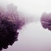 River photography - Plum purple aubergine decor wall art dreamy river landscape Fine Art Photography mist fog winter 8x10 - Dream River
