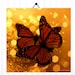 Monarch Butterfly Photograph 10X10 Butterfly Print Woodland Scene Autumn Fall Orange Earth Tones Insect Entomology Wings