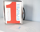 Time Capsule, baby keepsake, wedding time capsule, custom baby gift, birds, bunting flags, metal lunchbox, personalized