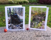 Set of Two Blank Cards - Woodland Fairy Habitats