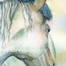 Watercolor Painting 8x10 Horse Art, Horse Painting, Horse Watercolor, Equine Art, Print Art Titled A Horse Named Shalimara