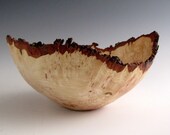Bark Edge Elm Burl Wood Turned Bowl