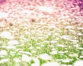 Queen Annes Lace, mint green, country decor, shabby chic, pink and green, fine art nature photography - 8x8