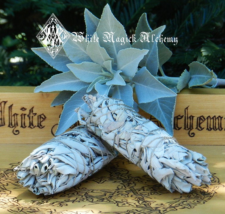 White Sage Smudge Wand . For Cleansing and Clearing the Home of Negativity, Spiritual Cleansing, Banishing, Protection,