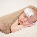 SALE...Soft Mocha Newborn Stretch Lace or Knit Wrap Photography Prop