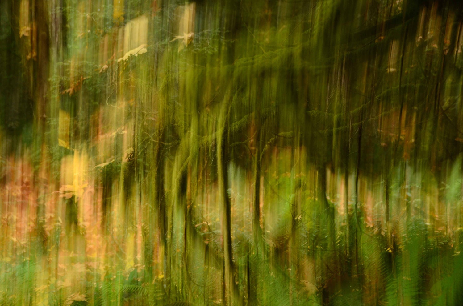 Galiano 4 (Photography, Digital, Canada, Home Decor)
