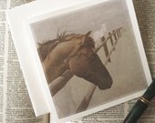Western Horse Card -Colorado Cards -Horse Lover -Nature Card -Blank Note Card -Square Card -Original Art Cards