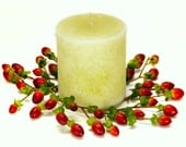 Bayberry Scented Pillar Candle for Christmas, Handmade and Hand-poured, 14 ounces ( 397 grams)