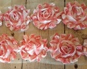 Chiffon Shabby PINK/WHITE STRIPE Rose Trim-2 1/2 inches-1/2 yard
