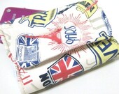 Padded camera pouch - world travel