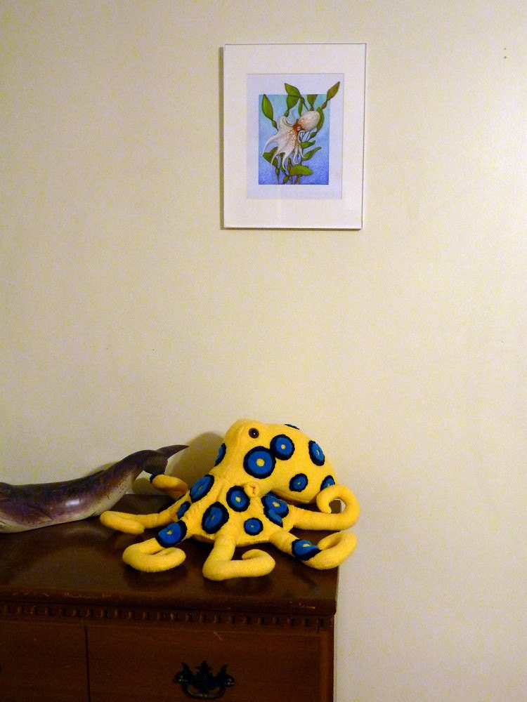Octopus in Kelp Forest, 8x10 Print on Fugi Crystal Archive Matte - Unframed