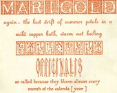 Marigold Petals Postcard