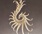Small White Earrings with Soft Spikes, mounted on thread chain