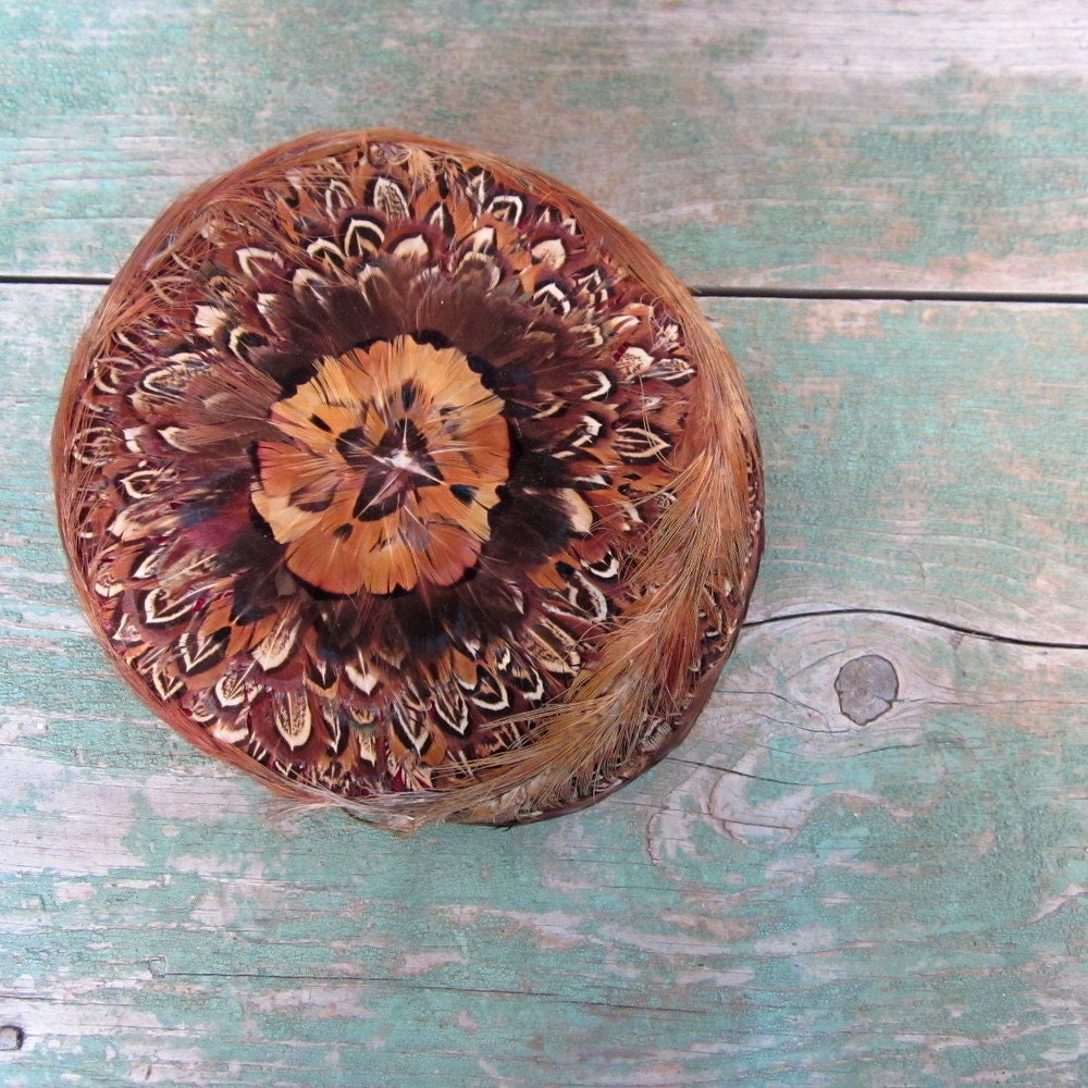 Pheasant Feather Hat / 1950s Pillbox Hat / Vintage 50s Hat