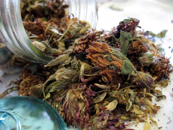 Dried Red Clover Tops Blossoms dried herb 1 ounce free shipping if ordered with another item