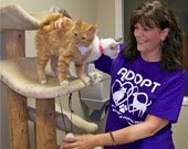 Oklahoma Relief ADOPT Cat shirt Dog shirt Dry Blend t-shirt Five colors, sizes up to 4X