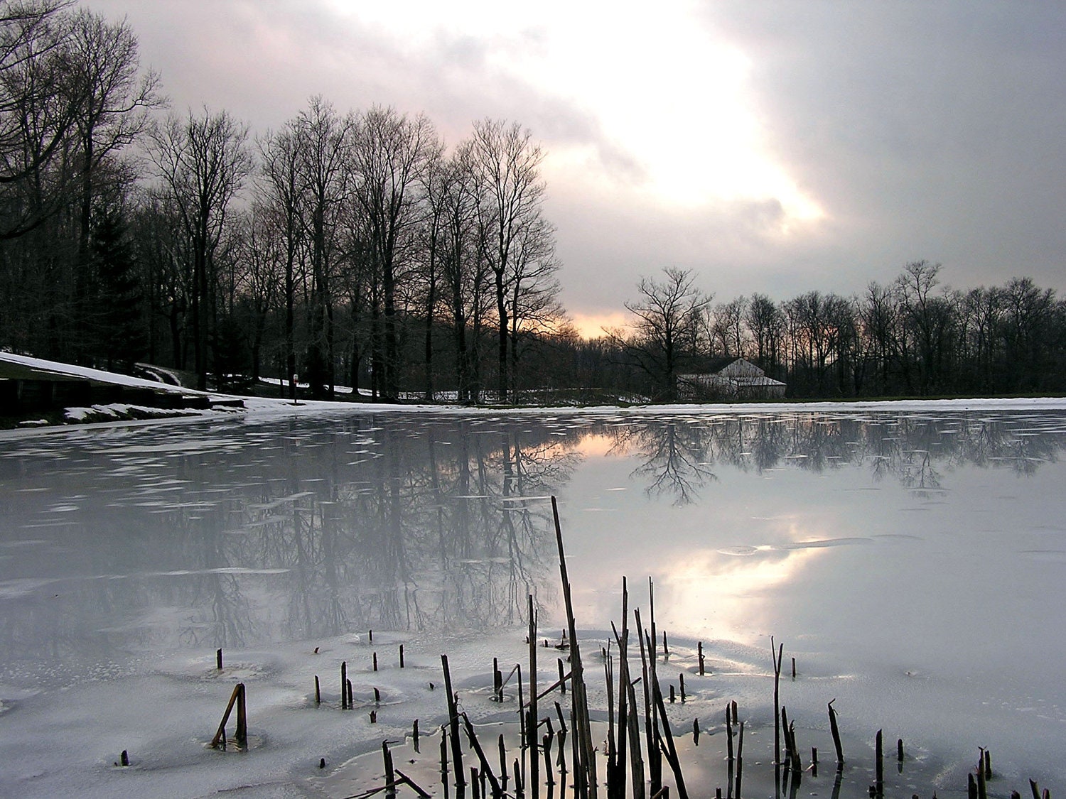 Monochromatic Winter Landscape Photography 5x7 Seen in Memory - Ohio Frozen Pond Print