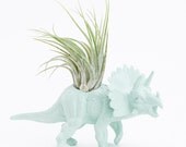 Small Dinosaur Planter with Air Plant Room Decor, College Dorm Ornament Plants and Edibles