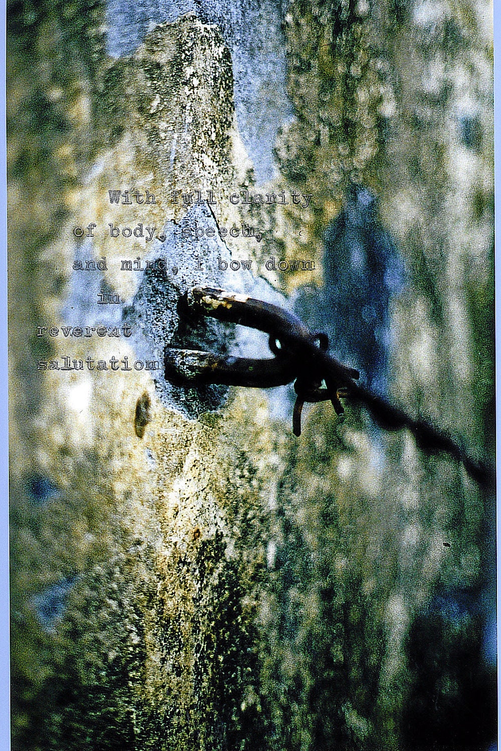 Colour Original Film Photograph with Inspirational Quote
