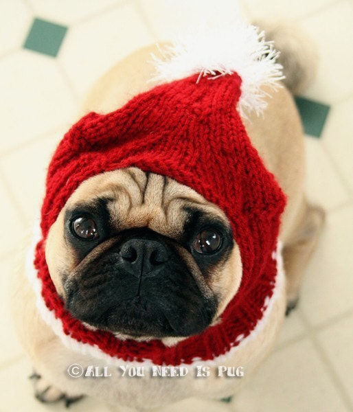 Dog Hat- Santa Holiday Hat
