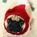 Dog Hat- Santa Holiday Hat