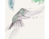 Hummingbird in Flight    A4 SIZE