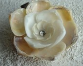 Victorian Charm: Ivory & White Shellflower CLIP