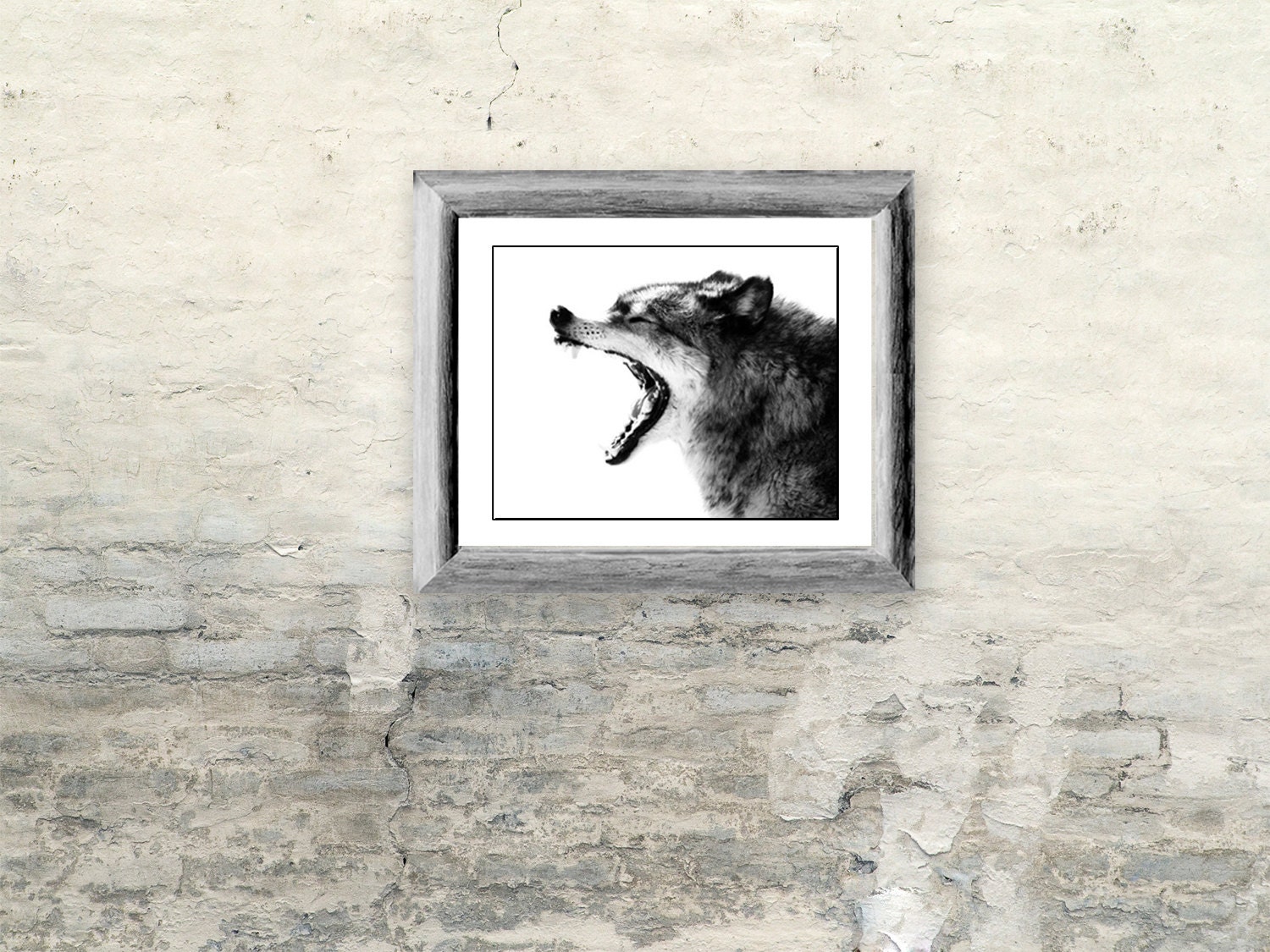 Intense Gray Wolf Portrait Photo - 8x10 Black and White Wild Animal Nature Photo Print - Wolf Art Minimal - Gift for him or her