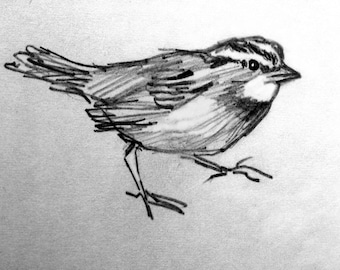 A Sparrow, Pencil Sketch, Sketchbook Pencil Drawing, Bird Sketch, Fine Art Print reproduction,  4.5 x 6.5 with 8 x 10 mat